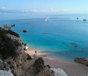 Unberührte Natur am Strand von Cala Goloritze